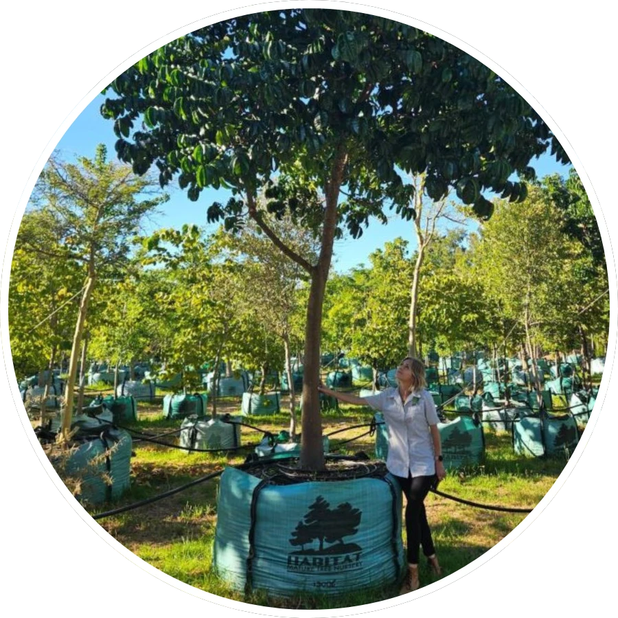 Habitat-Tree-Nursery-banner-slide-001-b